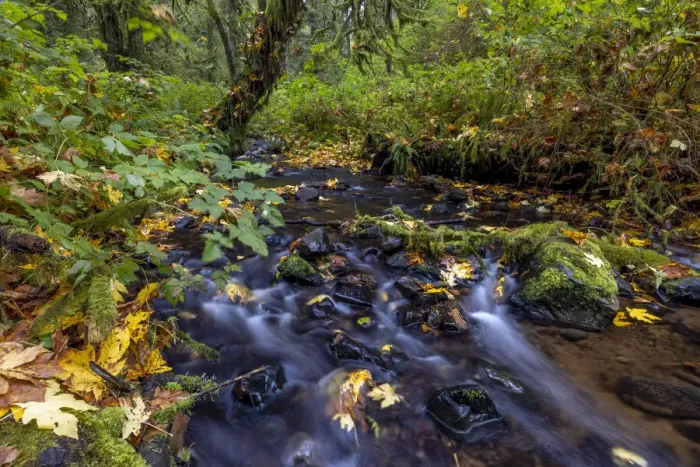 Framed Print : Munson Creek Falls State Natural Site in autumn near Tillamook, Oregon, USA Framed Print : Munson Creek Falls State Natural Site in autumn near Tillamook, Oregon, USA