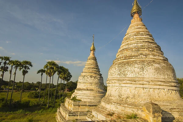 Myanmar. Bagan. Minochantha Stupa group and palm trees beyond