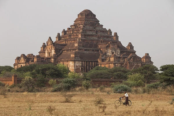 Myanmar, Bagan. Overview of Dhammayangyi Temple