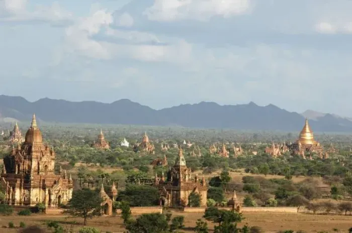 Framed Print : Myanmar, Bagan, Temple packed plain of Bagan and its green bushes, and golden sikhara