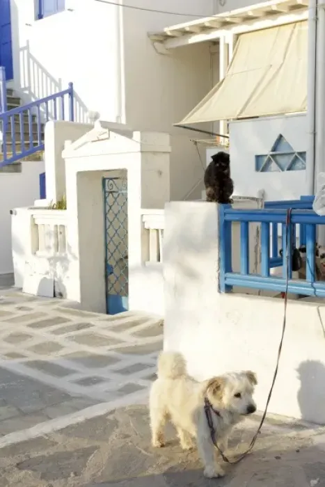 Framed Print : Mykonos, Greece. Street scene