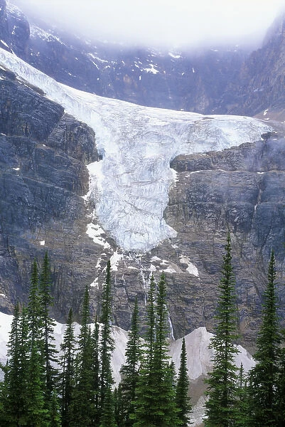 N. A. Canada, Alberta, Jasper NP, Angel Glacier