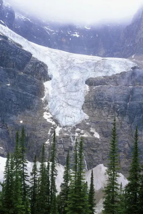Framed Print : N. A. Canada, Alberta, Jasper NP, Angel Glacier Framed Print : N. A. Canada, Alberta, Jasper NP, Angel Glacier