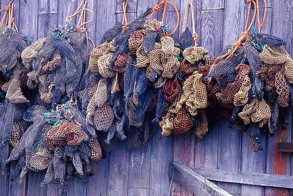 N. A. Canada, Nova Scotia, Hunts Point. Bait bags on fish shed wall