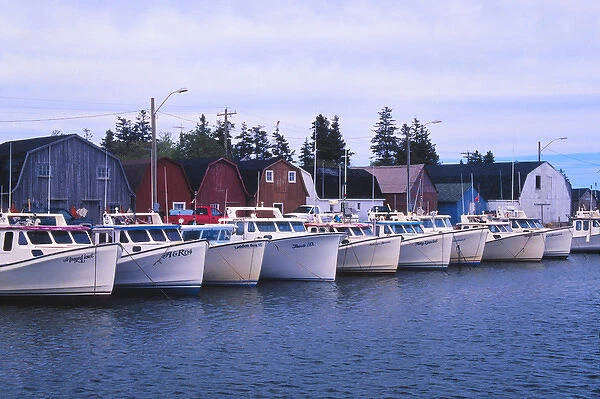 N. A. Canada, Prince Edward Island. Boats in Malpeque harbor