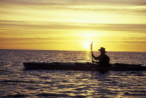 N. A. Mexico, Baja, Sea of Cortez. Sea kayaker at sunrise