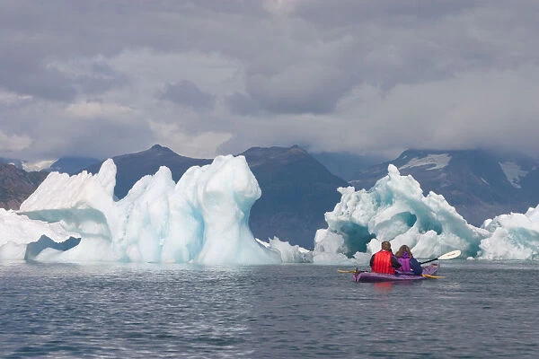 N. A. USA, Alaska. Kayaking in and around the Columbia Glacier