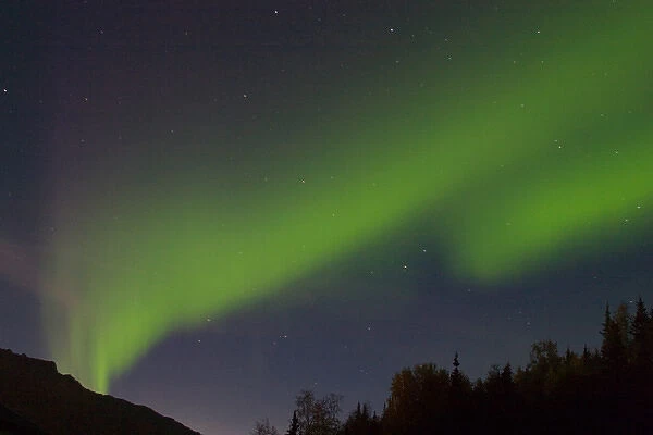 N. A. USA, Alaska. Lights of the Aurora Borealis near McKinley Village