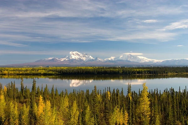 N. A. USA, Alaska. Mt. Sanford and Mt. Drum and the Copper River in autumn