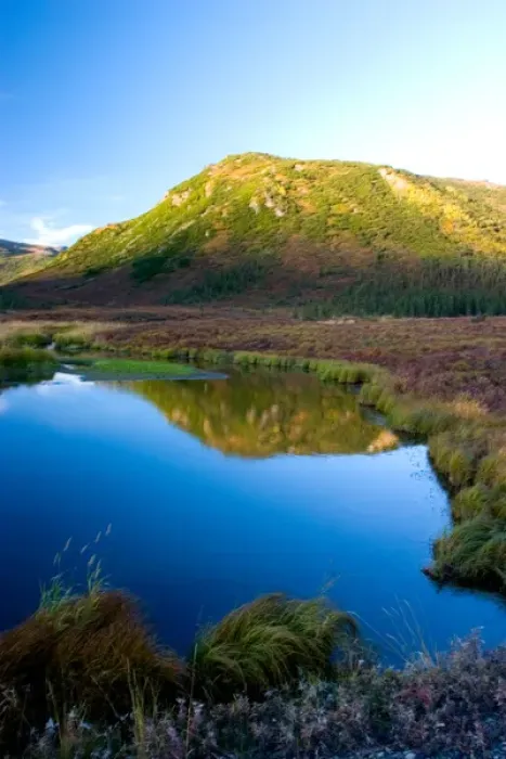 Framed Print : N. A. USA, Alaska. Still Pond in Denali National Park