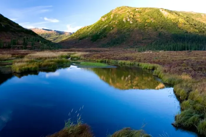 Framed Print : N. A. USA, Alaska. Still Pond in Denali National Park Framed Print : N. A. USA, Alaska. Still Pond in Denali National Park