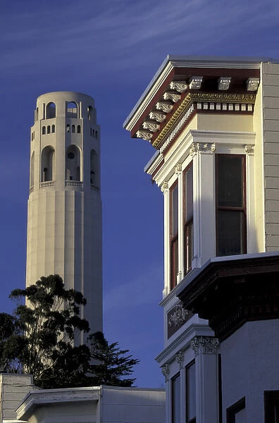 N. A. USA, California, San Francisco Coit tower and building
