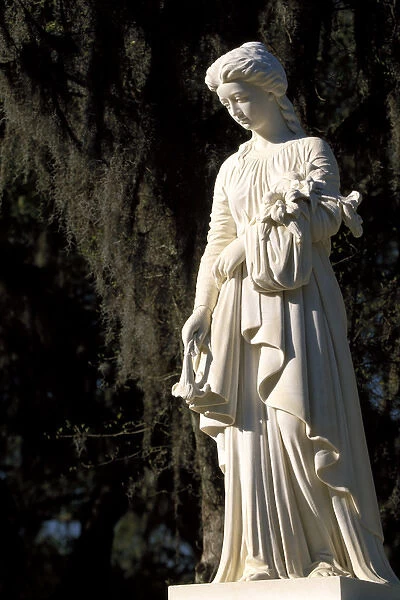 N. A. USA, Georgia, Savannah. Angel statue in Bonaventure Cemetery