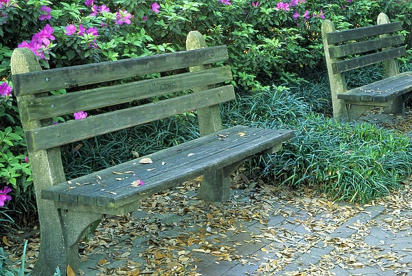 N. A. USA, Georgia, Savannah. Park benches in town square