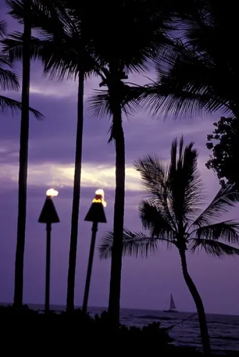 Framed Print : N. A. USA, Hawaii, Big Island Palm trees and tiki torches at dusk Framed Print : N. A. USA, Hawaii, Big Island Palm trees and tiki torches at dusk