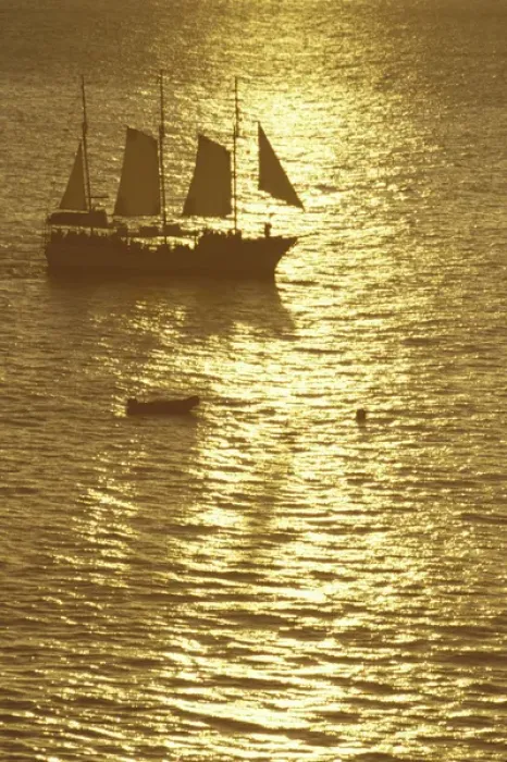 Framed Print : N. A. USA, Hawaii, Maui Sailboat in golden sea at sunset