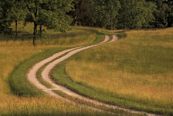 N. A. USA, Kentucky Road winding through meadow
