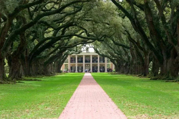 Framed Print : N. A. USA, Louisiana, New Orleans. Oak Alley Plantation Framed Print : N. A. USA, Louisiana, New Orleans. Oak Alley Plantation
