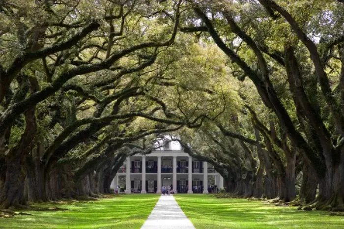 Framed Print : N. A. USA, Louisiana, New Orleans. Oak Alley Plantation