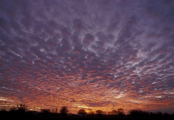 N. A. USA, New Mexico, near Las Cruces, Altocumulus clouds at sunset