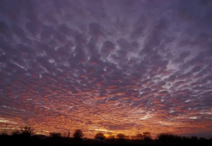 Framed Print : N. A. USA, New Mexico, near Las Cruces, Altocumulus clouds at sunset