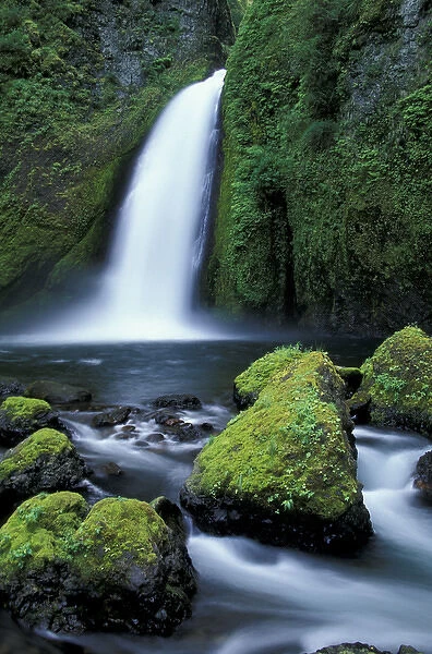 N. A. USA, Oregon, Columbia River Gorge National Scenic Area Wahclella Falls