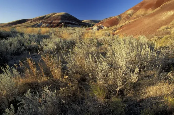 Framed Print : N. A. USA, Oregon. John Day Fossil Bed National Monument. Painted hills Framed Print : N. A. USA, Oregon. John Day Fossil Bed National Monument. Painted hills