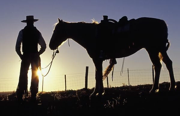 N. A. USA, Oregon, Seneca, Ponderosa Ranch, Cowboy and horse sillouette (MR)