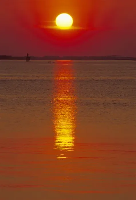 Framed Print : N. A. USA, South Carolina, Charleston. Sunrise over the Ashley River Framed Print : N. A. USA, South Carolina, Charleston. Sunrise over the Ashley River