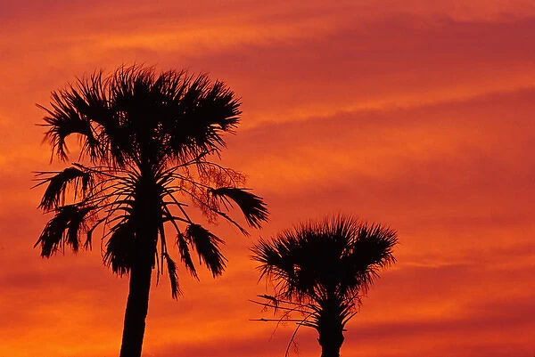 N. A. USA, South Carolina, Charleston. Sunset near Folley Beach