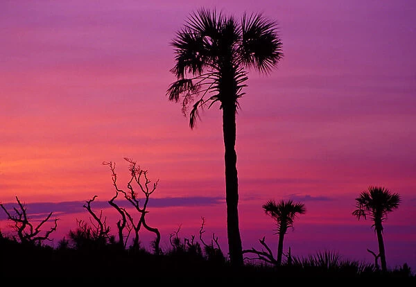 N. A. USA, South Carolina, Charleston. Sunset near Folley Beach