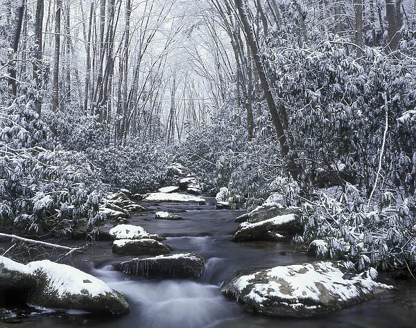N. A. USA, Tennessee. Great Smokey Mountains National Park. Cosby creek in winter