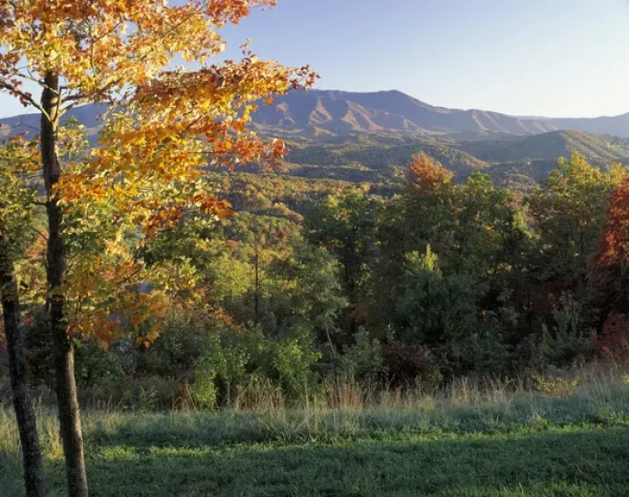 Framed Print : N. A. USA, Tennessee. Great Smokey Mountains National Park. Autumn view looking south Framed Print : N. A. USA, Tennessee. Great Smokey Mountains National Park. Autumn view looking south