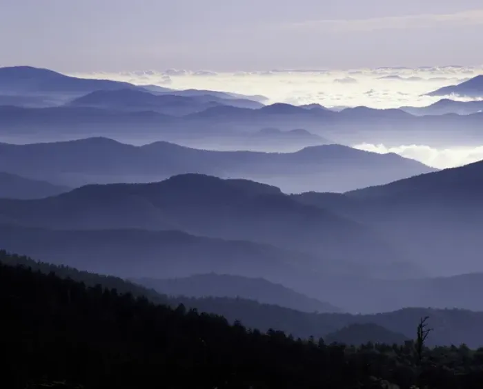 Framed Print : N. A. USA, Tennessee. Great Smokey Mountains National Park. Southern Appalachian Mountains at dawn Framed Print : N. A. USA, Tennessee. Great Smokey Mountains National Park. Southern Appalachian Mountains at dawn