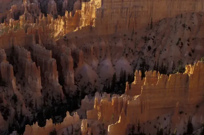Framed Print : N. A. USA, Utah, Bryce Canyon National Park. View fo canyon and erosion formations Framed Print : N. A. USA, Utah, Bryce Canyon National Park. View fo canyon and erosion formations