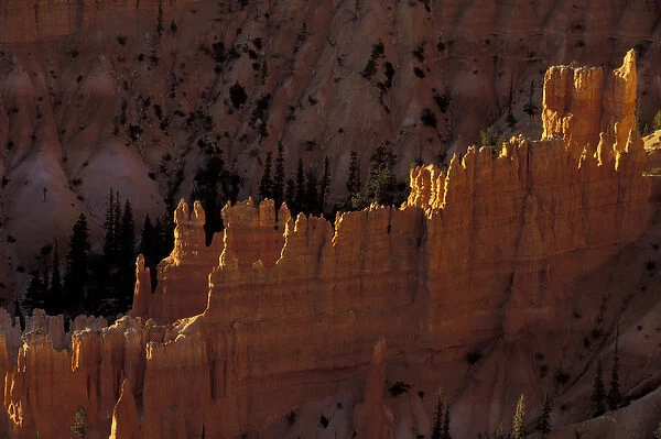 N. A. USA, Utah, Bryce Canyon National Park. View fo canyon and erosion formations
