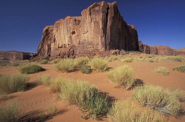 N. A. USA, Utah, Canyonlands Nat l Park Large rock cliffs and desert brush