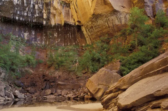 Framed Print : N. A. USA, Utah, Zion National Park. Upper Emerald Pool
