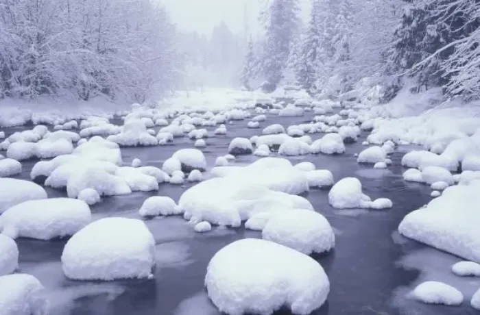 Framed Print : N. A. USA, Washington, Cascade Mountains, Fresh snow along Denny Creek Framed Print : N. A. USA, Washington, Cascade Mountains, Fresh snow along Denny Creek