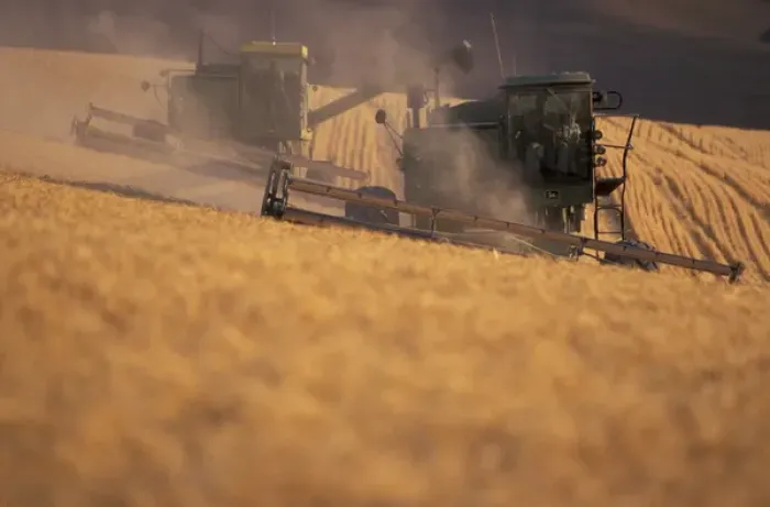 Framed Print : N. A. USA, Washington, Dusty Wheat combines at fall harvest Framed Print : N. A. USA, Washington, Dusty Wheat combines at fall harvest