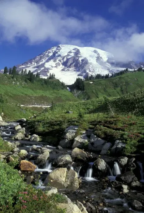 Framed Print : N. A. USA, Washington, Mt. Rainier Nat l Park Mt. Rainier and Edith Creek