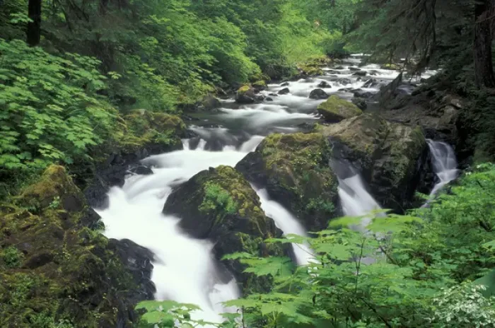 Framed Print : N. A, USA, Washington, Olympic Nat l Park Sol Duc Falls, Olympic Rainforest Framed Print : N. A, USA, Washington, Olympic Nat l Park Sol Duc Falls, Olympic Rainforest