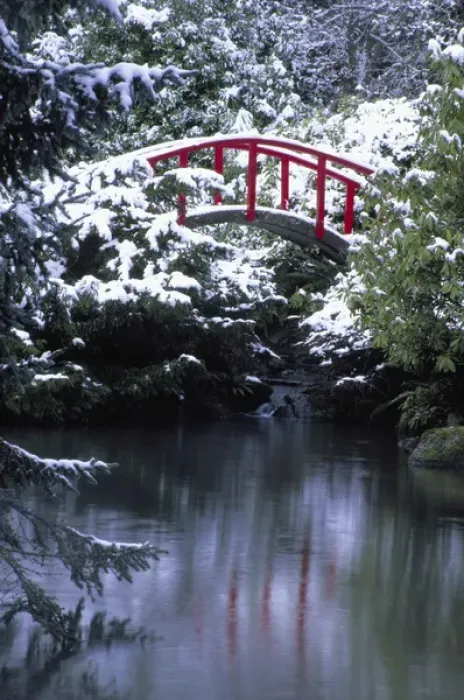 Framed Print : N. A. USA, Washington, Seattle. Moon bridge in Kabota Gardens in winter