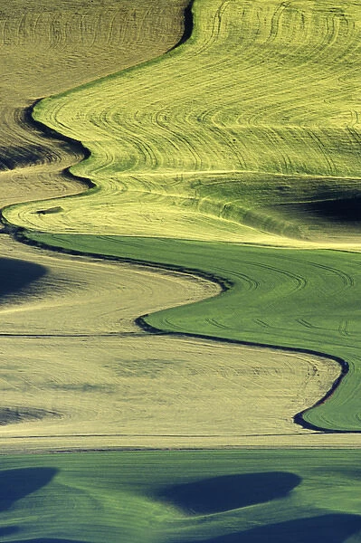 N. A. USA, Washington, Whitman County. Patterns of wheat and fallow from Steptoe Butte