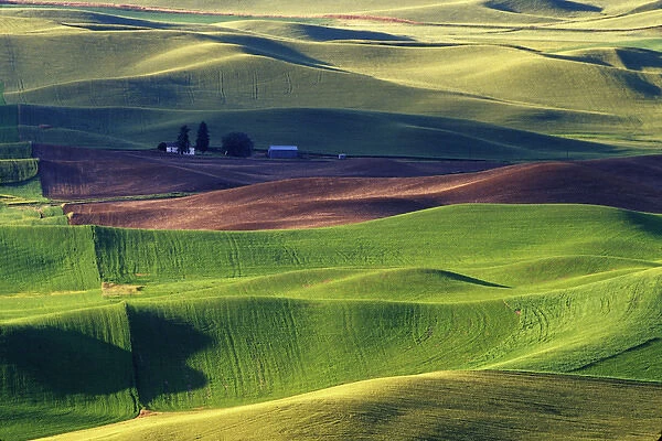 N. A. USA, Washington, Whitman County. Patterns of wheat and fallow from Steptoe Butte