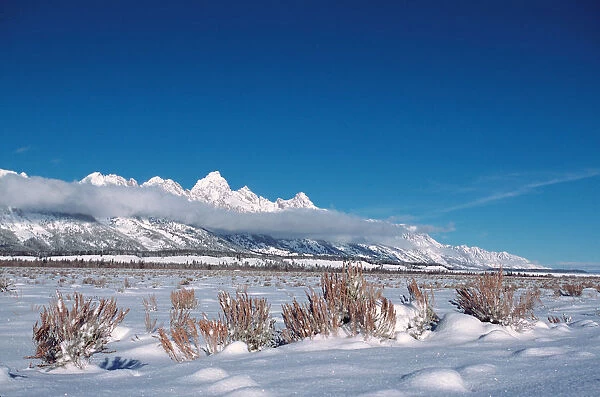 N. A. USA, Wyoming, Grand Teton Nat l Park Teton Range In Winter