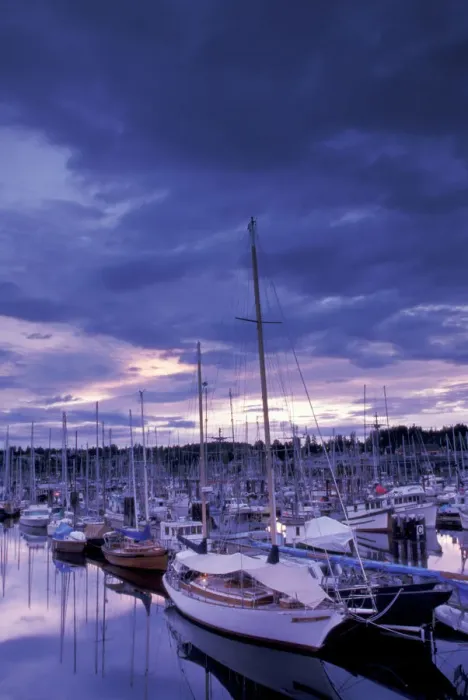 Framed Print : NA, Canada, BC, Comox Harbor, boats at sunset Framed Print : NA, Canada, BC, Comox Harbor, boats at sunset