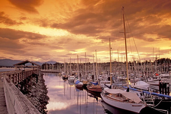 NA, Canada, BC, Comox Harbor, boats, sunset, filtered sky  /  foreground