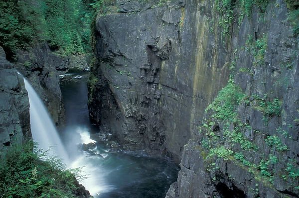 NA, Canada, BC, Vancouver Island, Elk Falls (on the Campbell river)