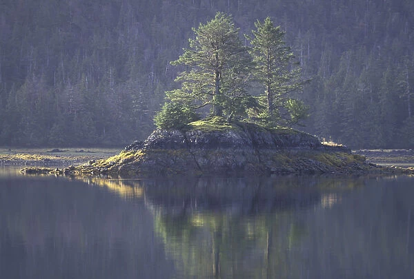 NA, Canada, British Columbia, Queen Charlotte Islands Landscape